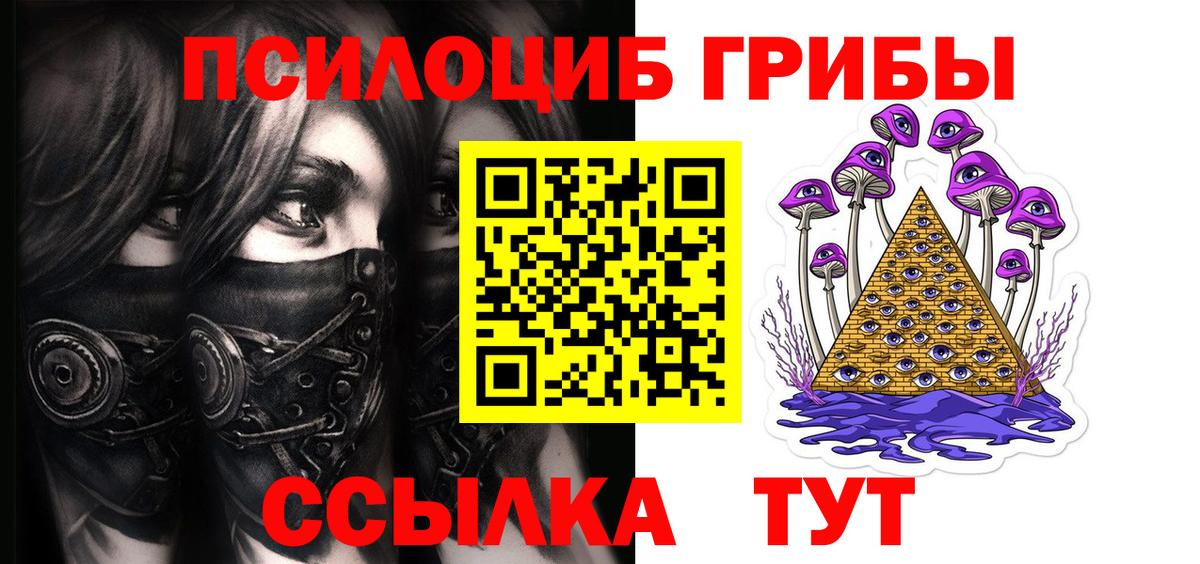 Псилоцибиновые грибы GOLDEN TEACHER  Псилоцибиновые грибы Magic Shrooms  Камышин  Вход с VPN 
